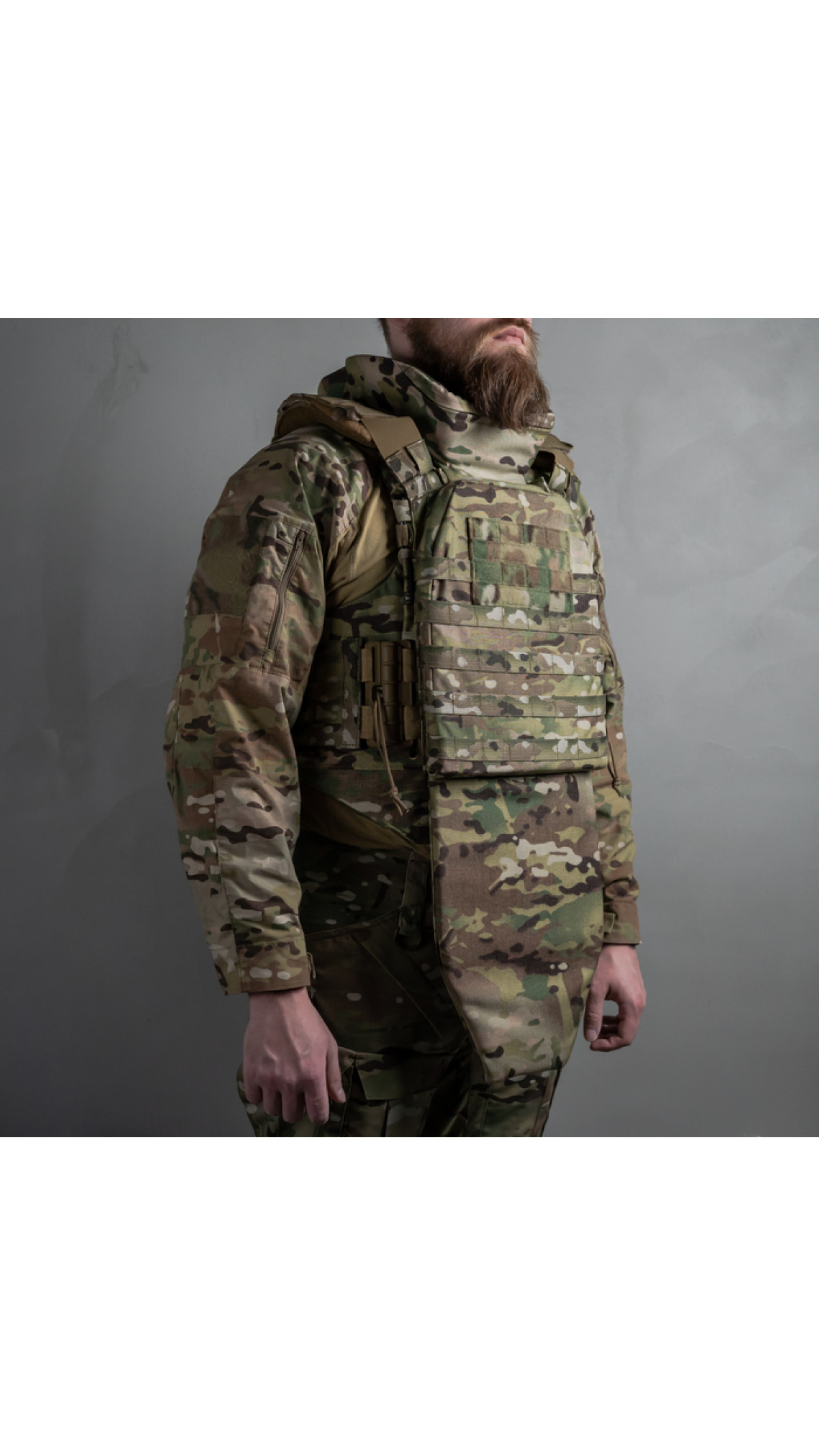Облегченный бронежилет "Сармат L-XL" с баллистической защитой 1 класса (Мультикам) Облегченный бронежилет "Сармат L-XL" с баллистической защитой 1 класса (Мультикам)