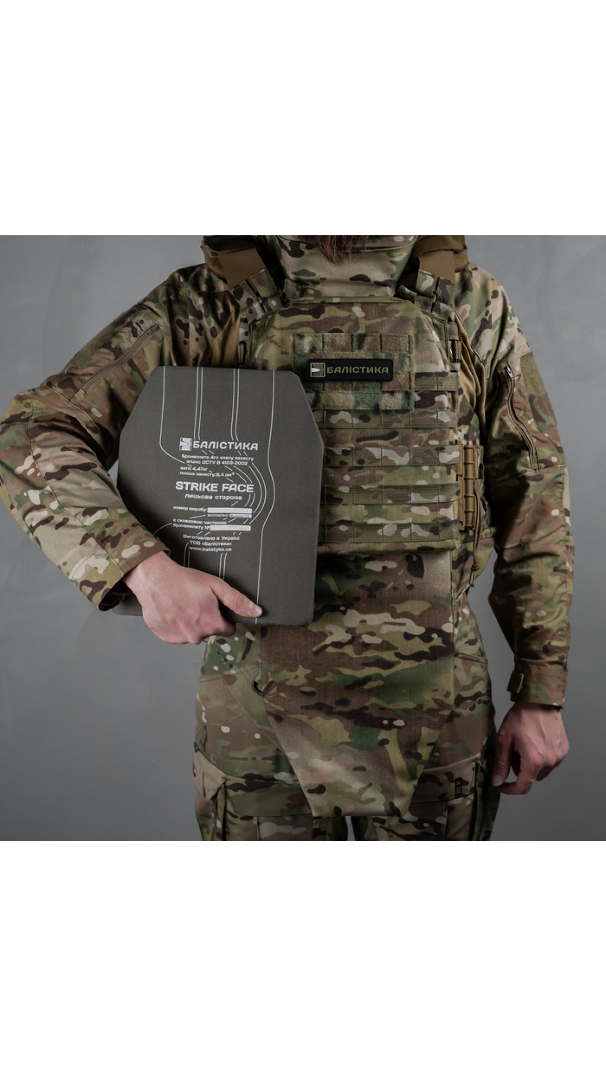 Облегченный бронежилет "Сармат L-XL" с баллистической защитой 1 класса (Мультикам) Облегченный бронежилет "Сармат L-XL" с баллистической защитой 1 класса (Мультикам)
