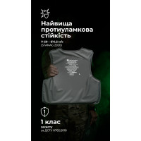 Баллистические пакеты под бронежилет Crye Precision LVS (1 класс | L | 2 шт. | 1530 г | НВМПЭ ✡ Израиль) ТМ Баллистика