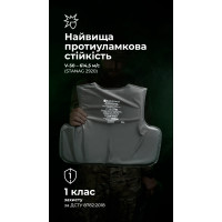 Баллистические пакеты под бронежилет Crye Precision LVS (1 класс | XL | 2 шт. | 1730 г | НВМПЭ ✡ Израиль) ТМ Баллистика