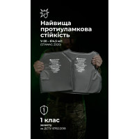 Балістичні пакети до плитоноски Agilite K19 (1 клас | 26×32 см | 2 шт. | 1075 г | НВМПЕ ✡ Ізраїль) ТМ Балістика