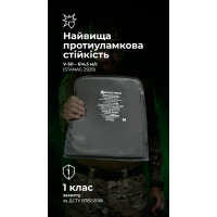 Баллистические пакеты под бронежилет Crye Precision AVS (1 класс | М | 2 шт. | 970 г | НВМПЭ ✡ Израиль) ТМ Баллистика