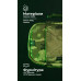 Подсумок для телефона "Орон" (с фиксатором телефона | ММ14 "Пиксель") ТМ Баллистика
